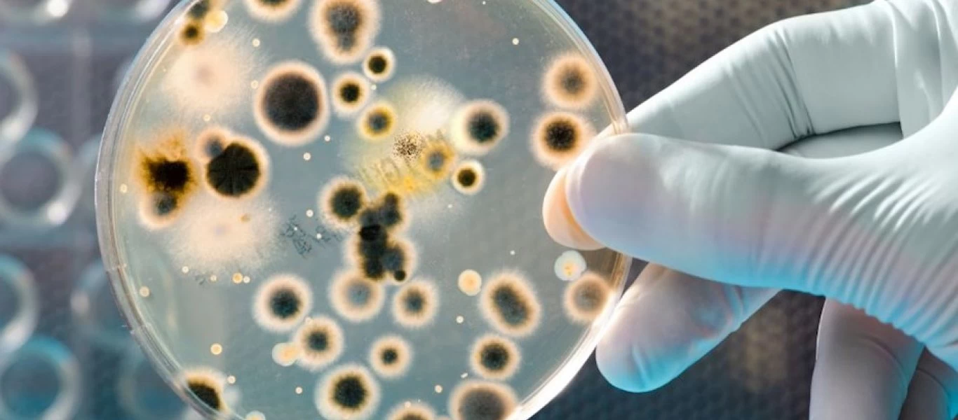 Τριχομονάδες: Το νου σας σε αυτά τα «ύπουλα» συμπτώματα - Ποια είναι σε γυναίκες και άντρες